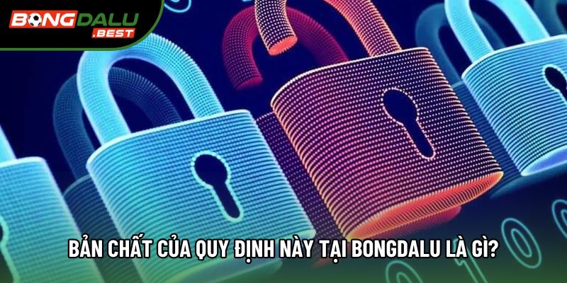 Bản chất của quy định này tại Bongdalu là gì?