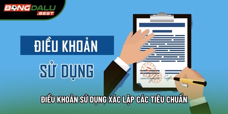 Điều khoản sử dụng xác lập các tiêu chuẩn